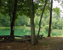 Cedar Mountain Campground - Picnic Area